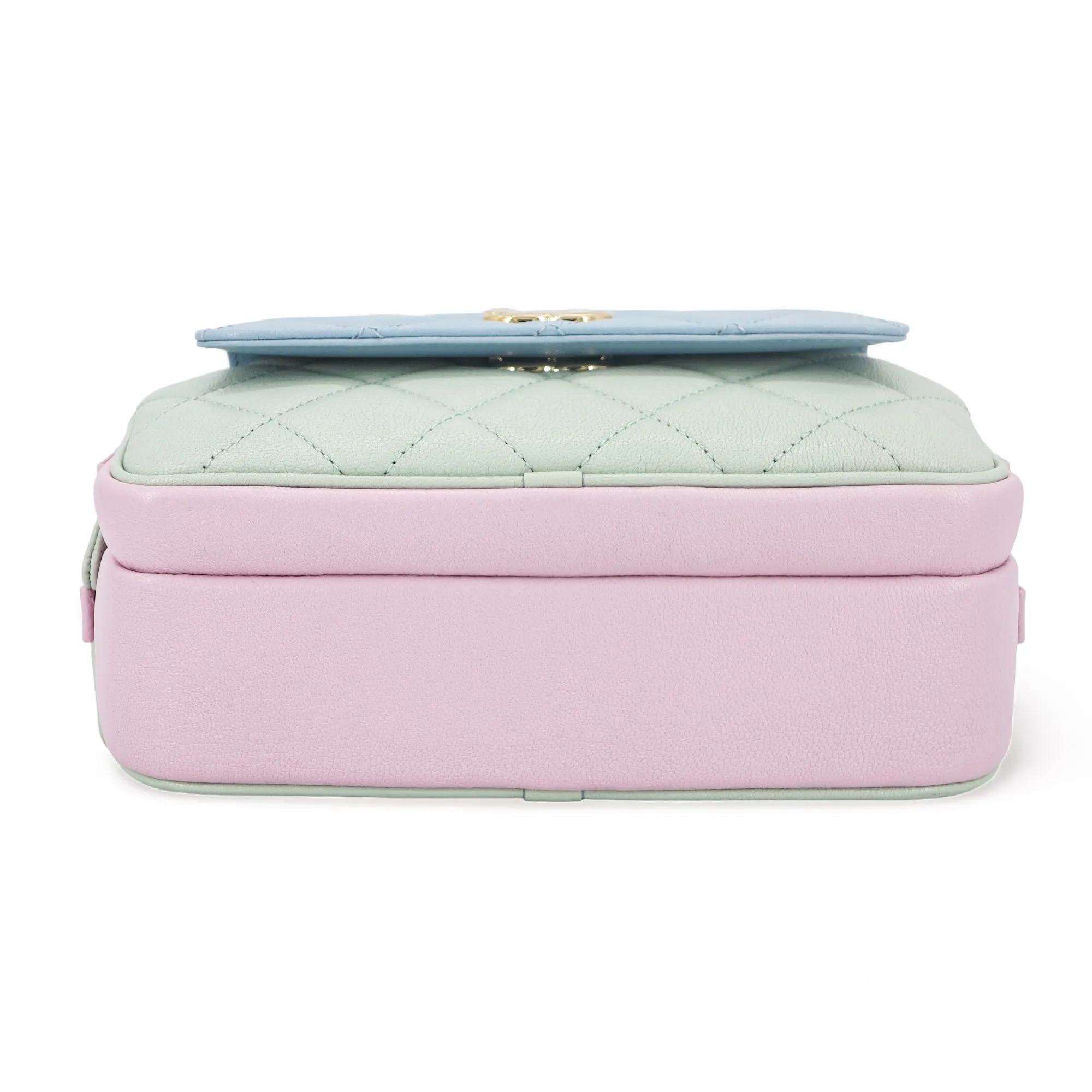 20C Pastel Goatskin Waist Bum Bag