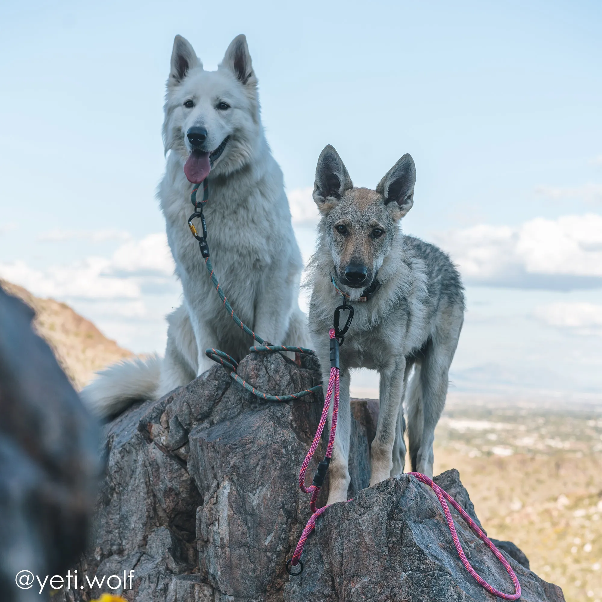 Boulder Hybrid Dog Leash