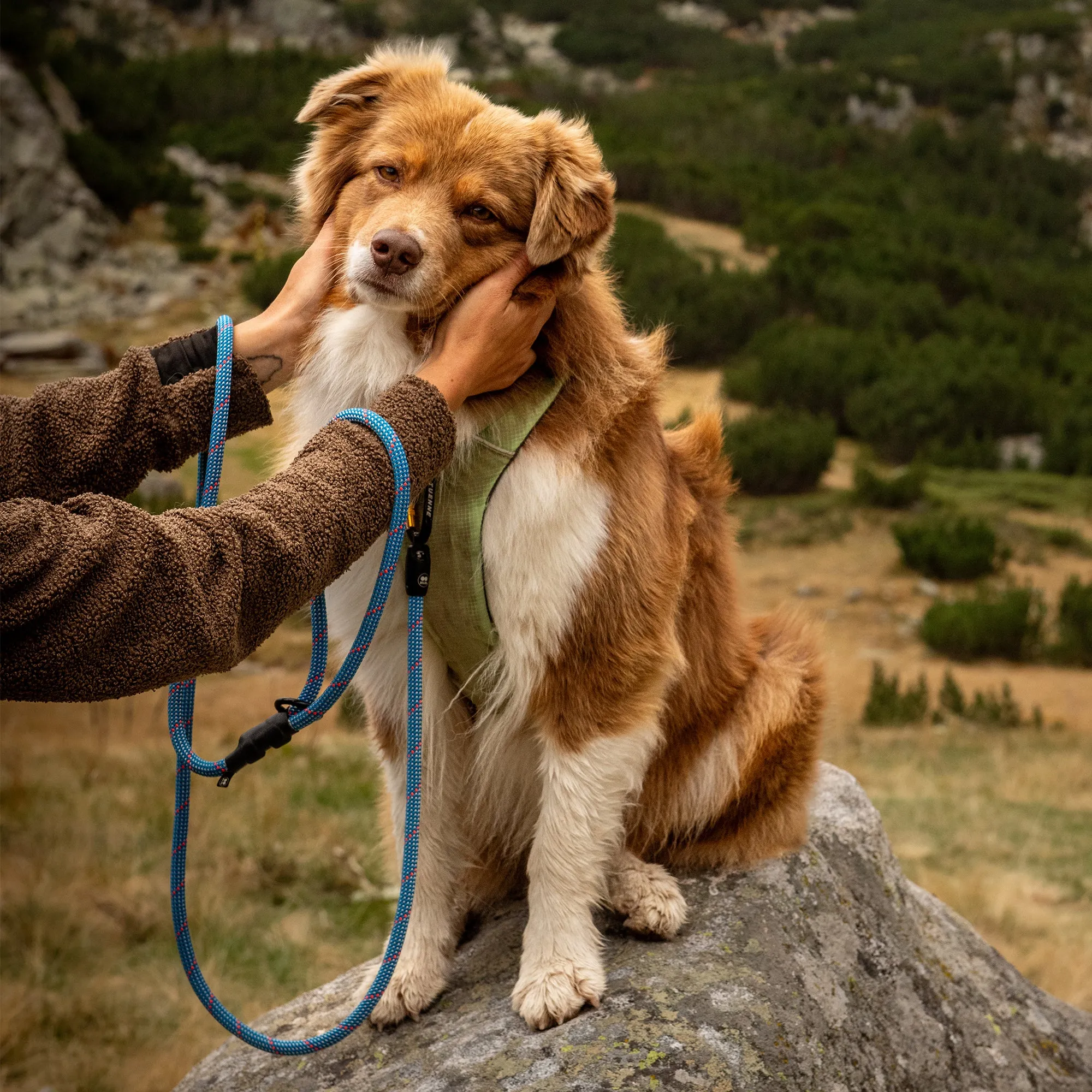Boulder Hybrid Dog Leash