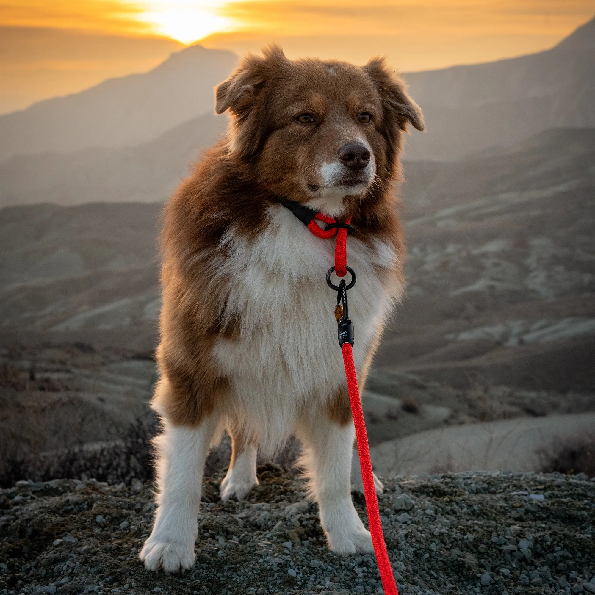 Boulder Hybrid Dog Leash