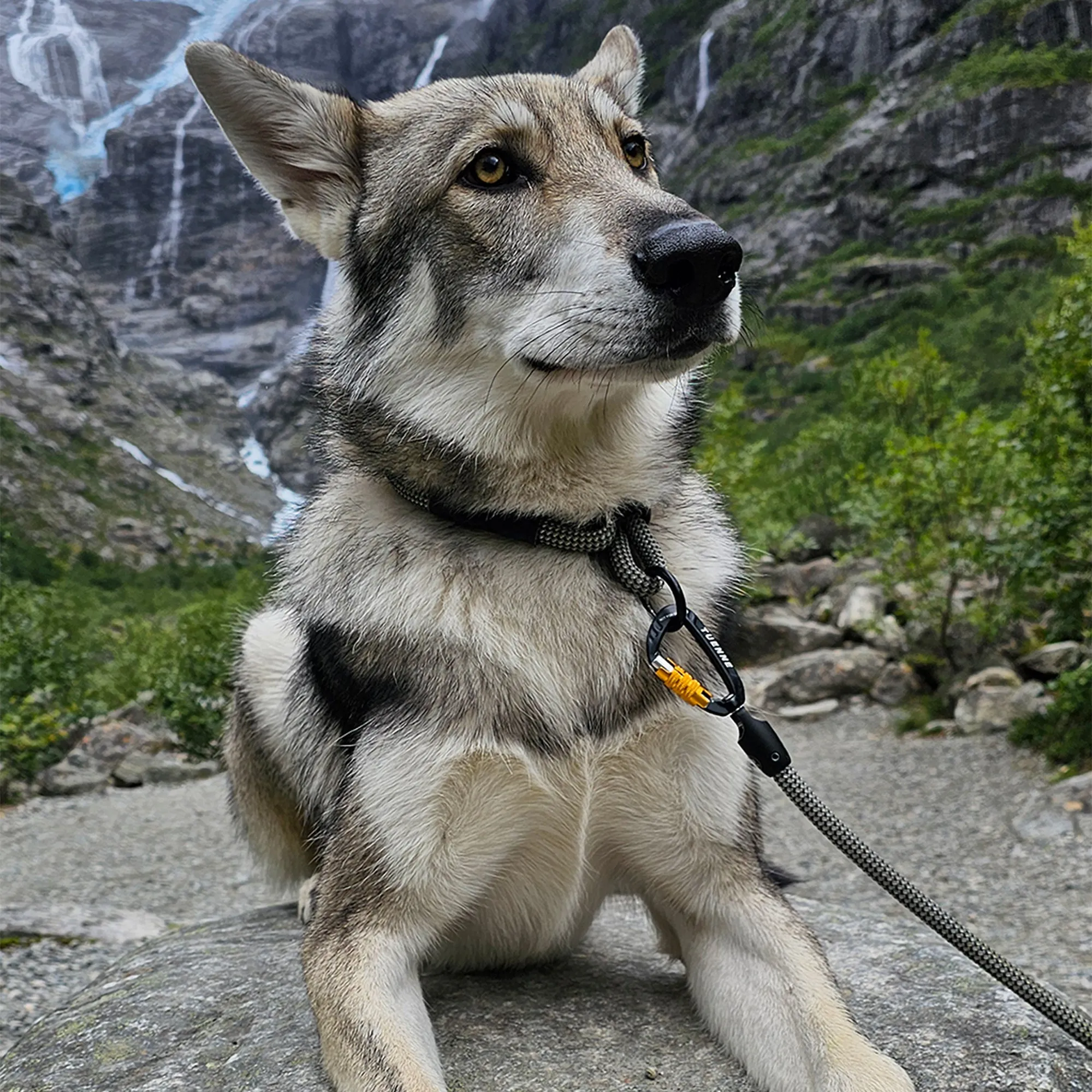 Boulder Hybrid Dog Leash
