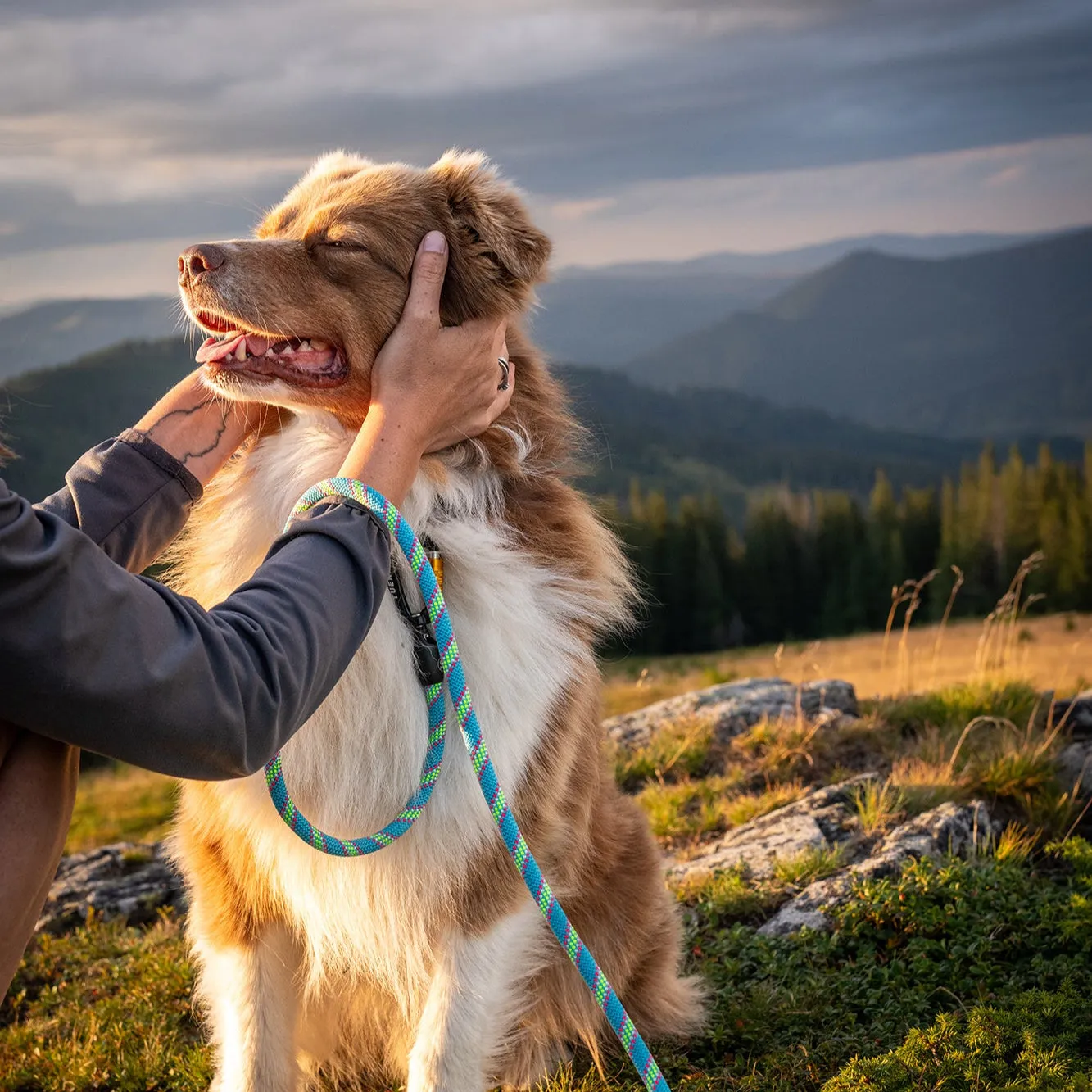 Boulder Hybrid Dog Leash