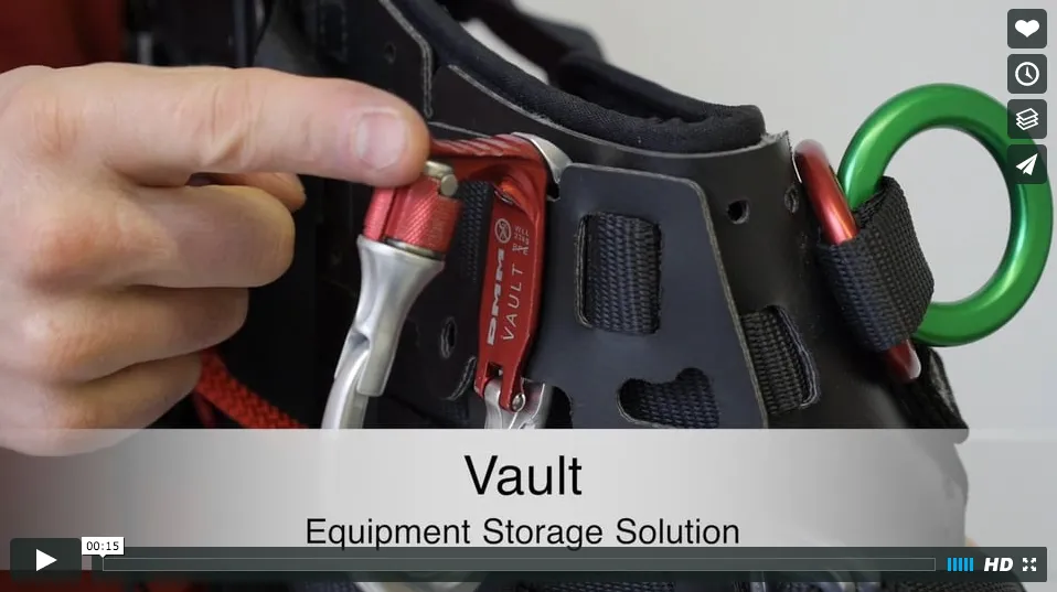 DMM Vault Wiregate Tool Carrier