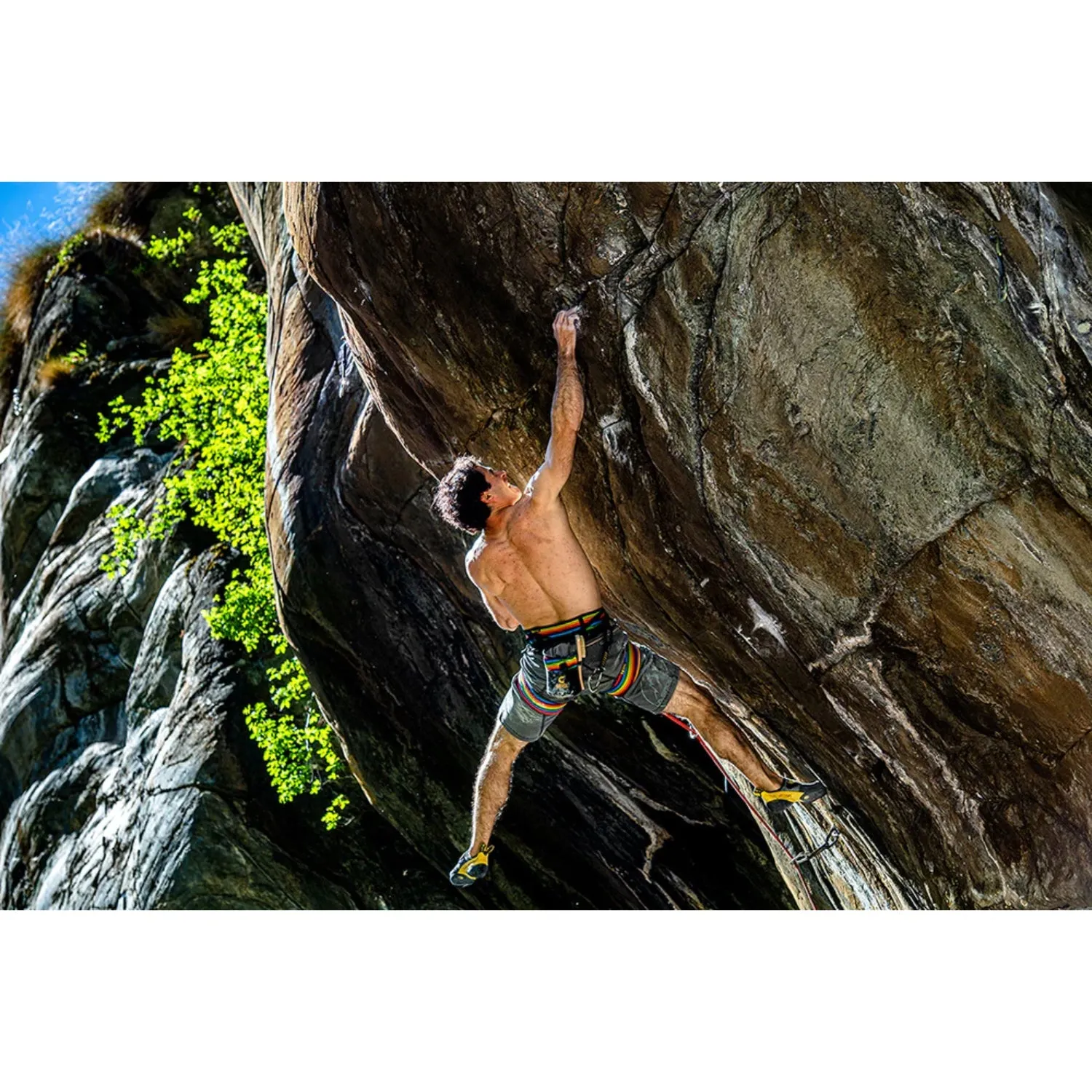 Grivel Trend Harness - Rainbow