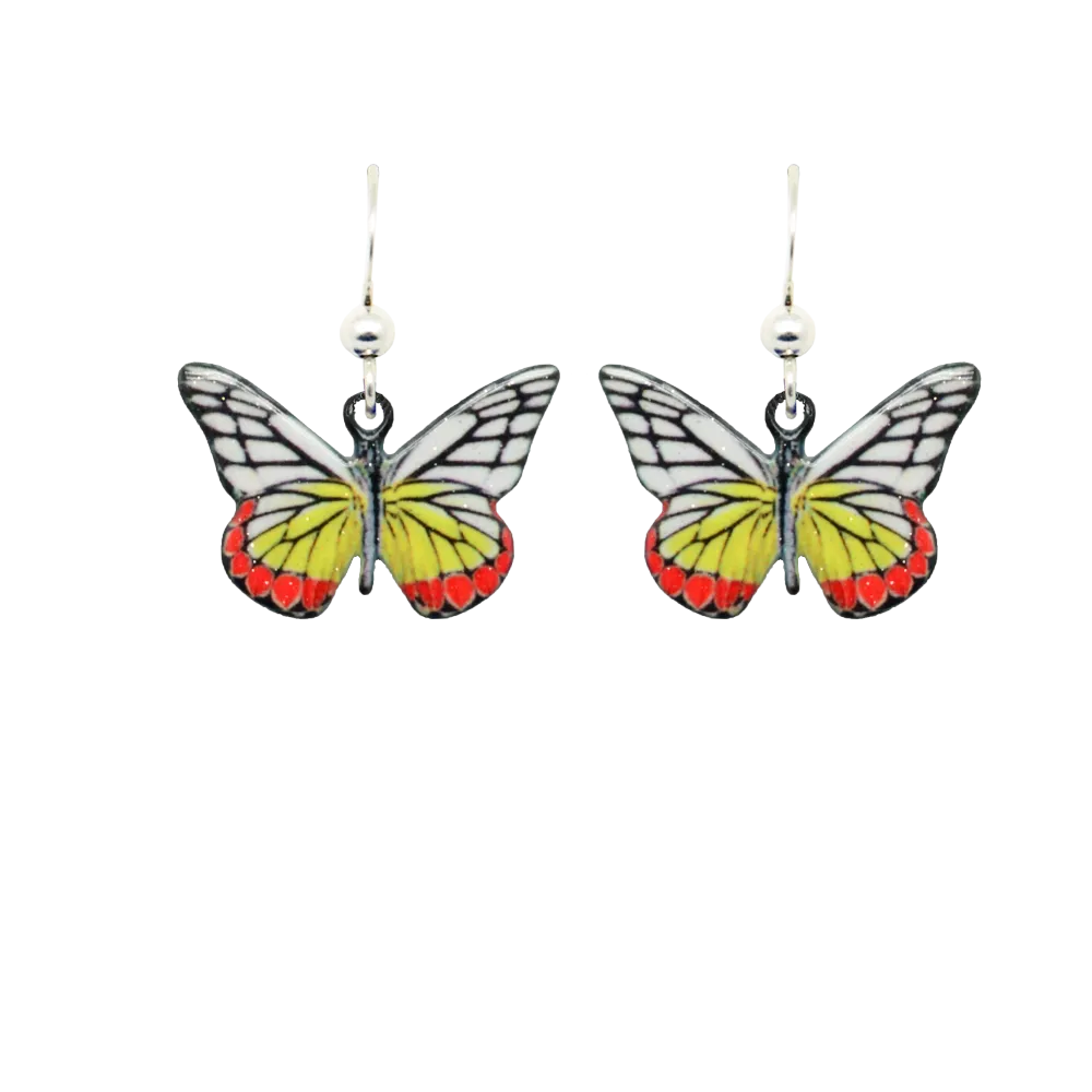 Jezebel Butterfly