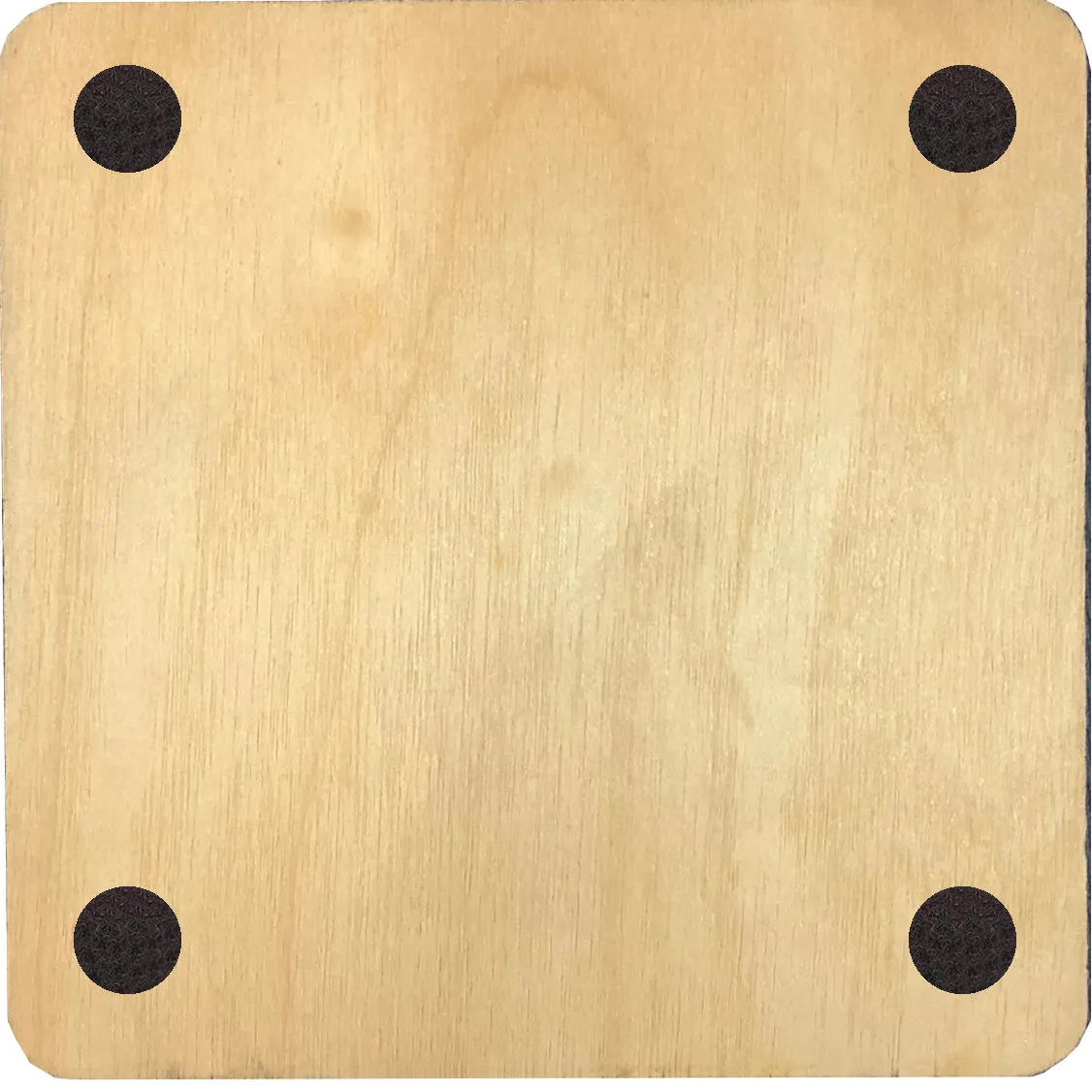 Luna Moth  Wood Coaster Set, 3.75x3.75, set of 4, made in USA by d'ears