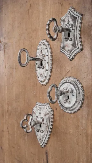 Metal Key Hooks