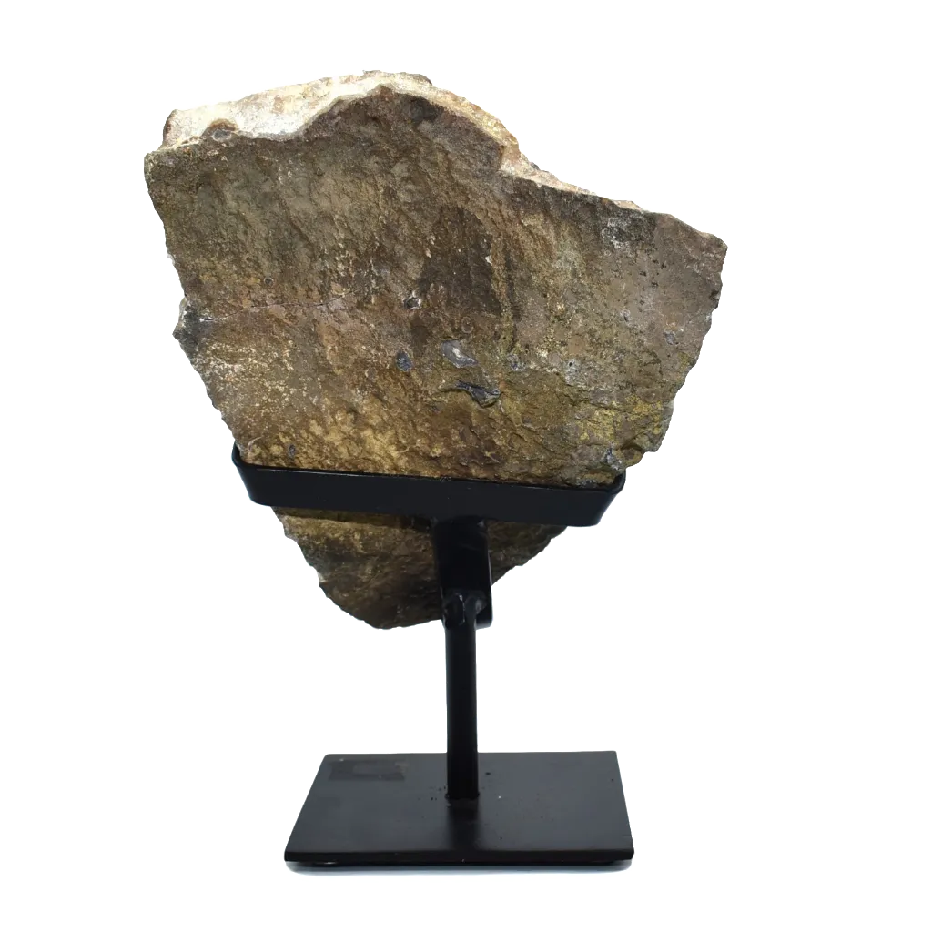 Metalized Amethyst Specimen on Metal Stand