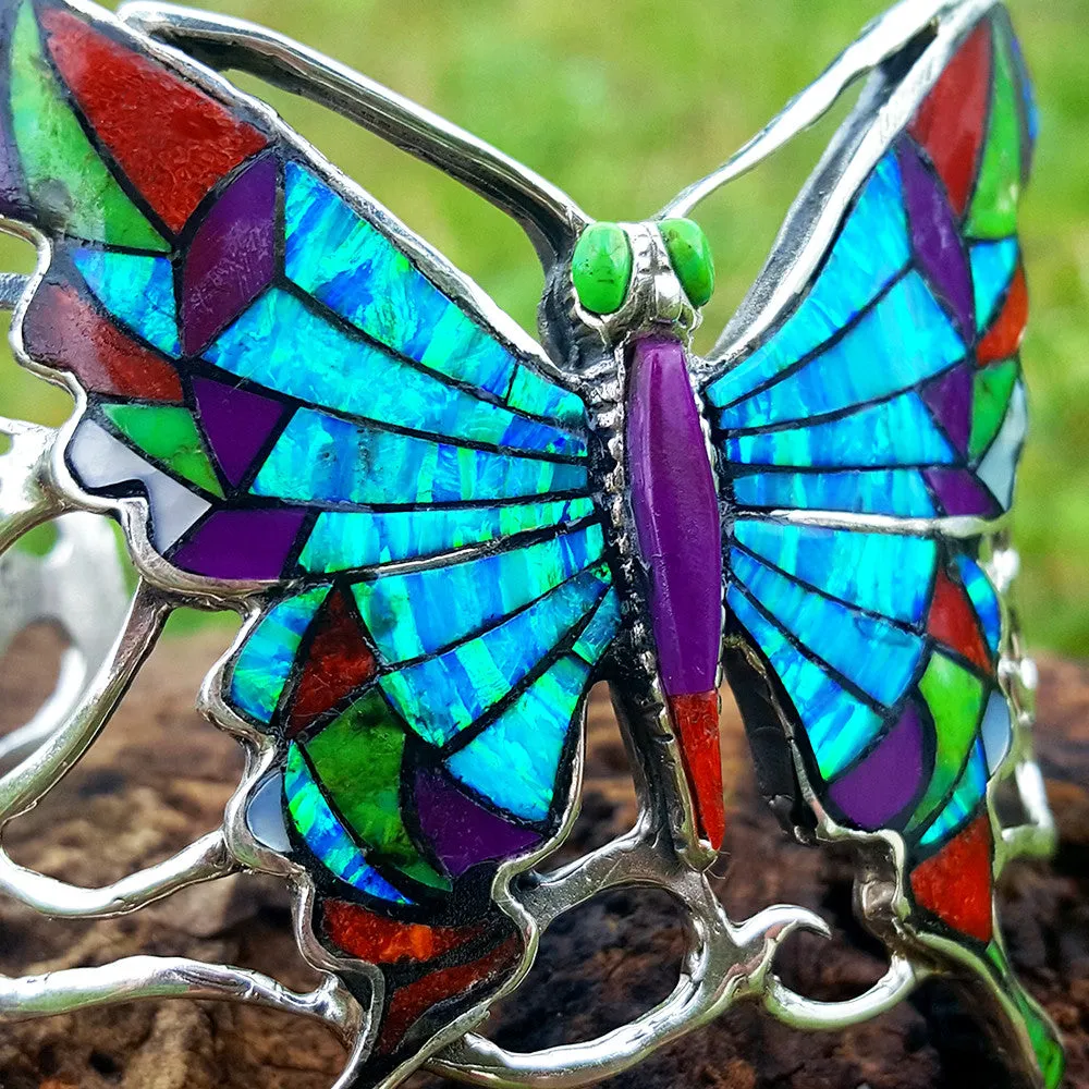 Multicolor Butterfly