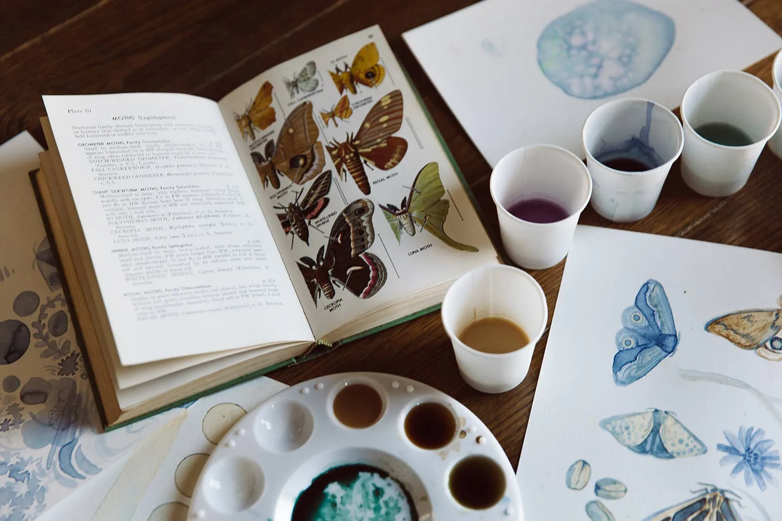 Paint with Coffee and Tea Kit Plus Virtual Class