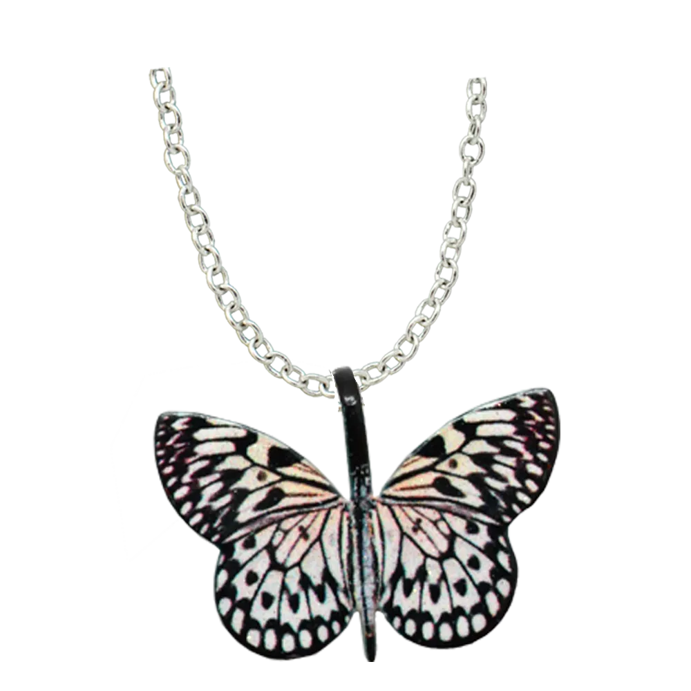 Paper Kite Butterfly