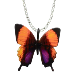 Purple-Stained Daggerwing