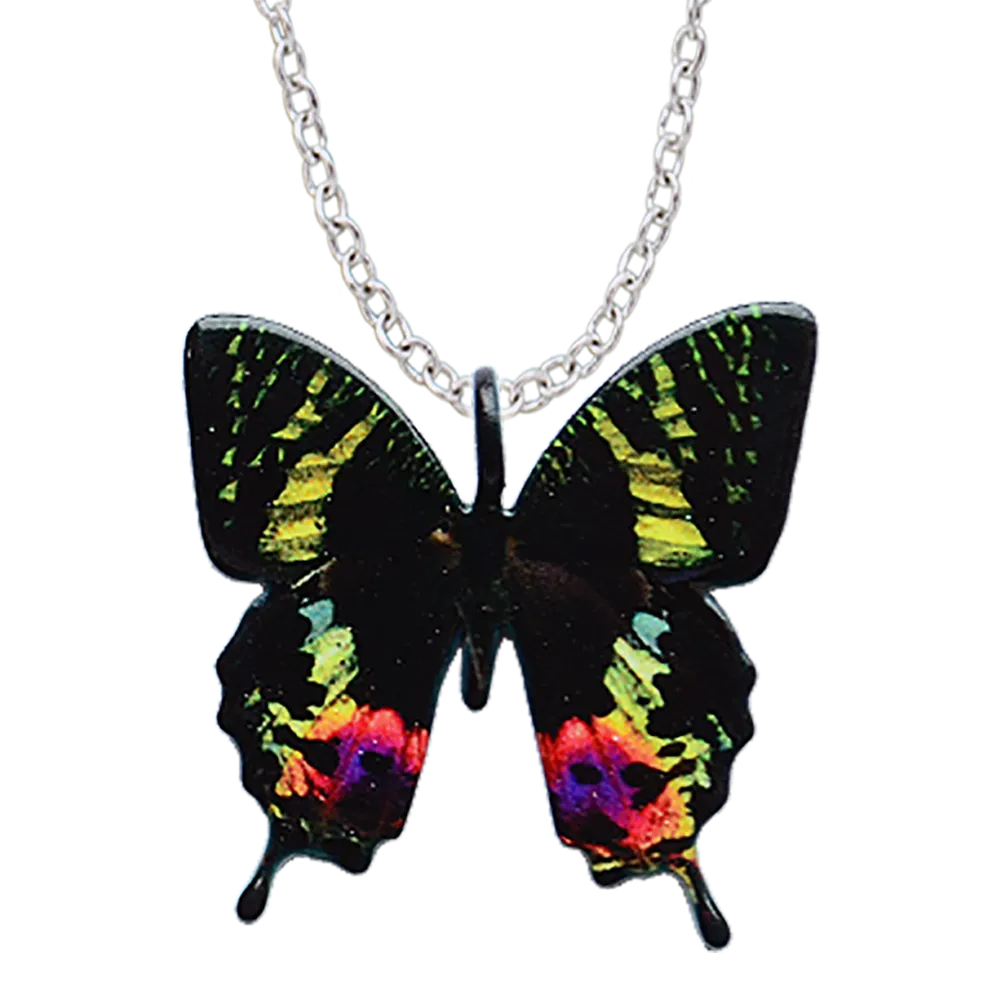 Sunset Moth