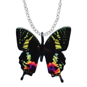 Sunset Moth