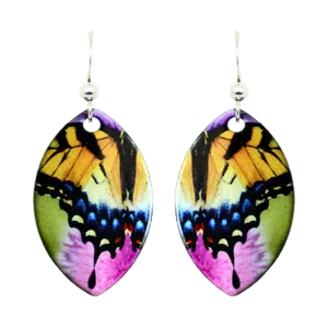 Swallowtail