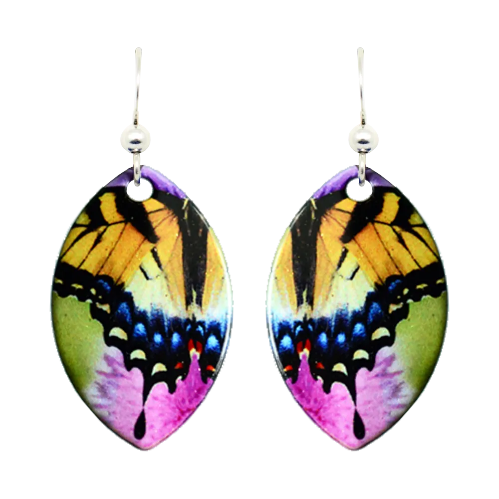 Swallowtail