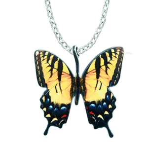 Tiger Swallowtail