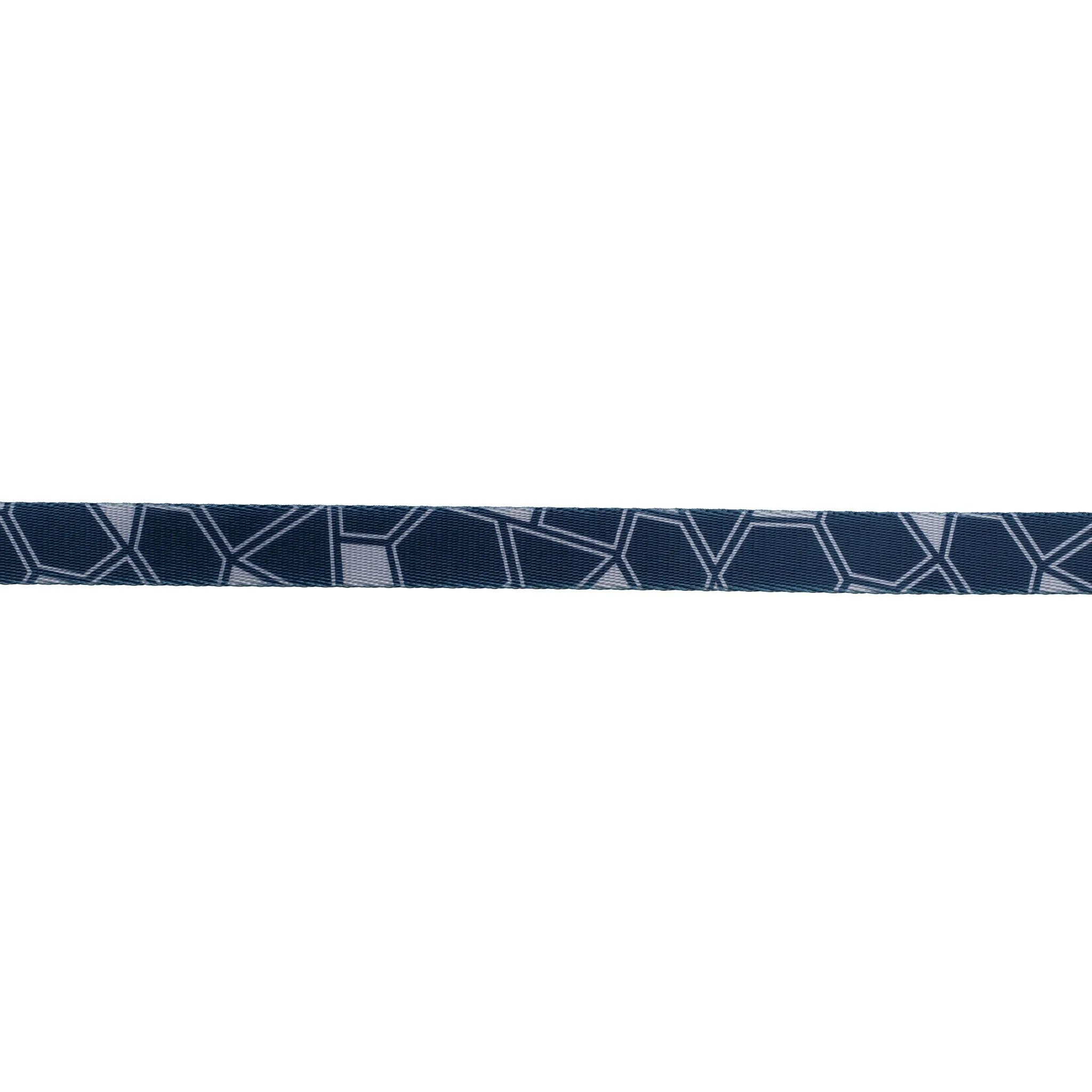 Trails End Leash