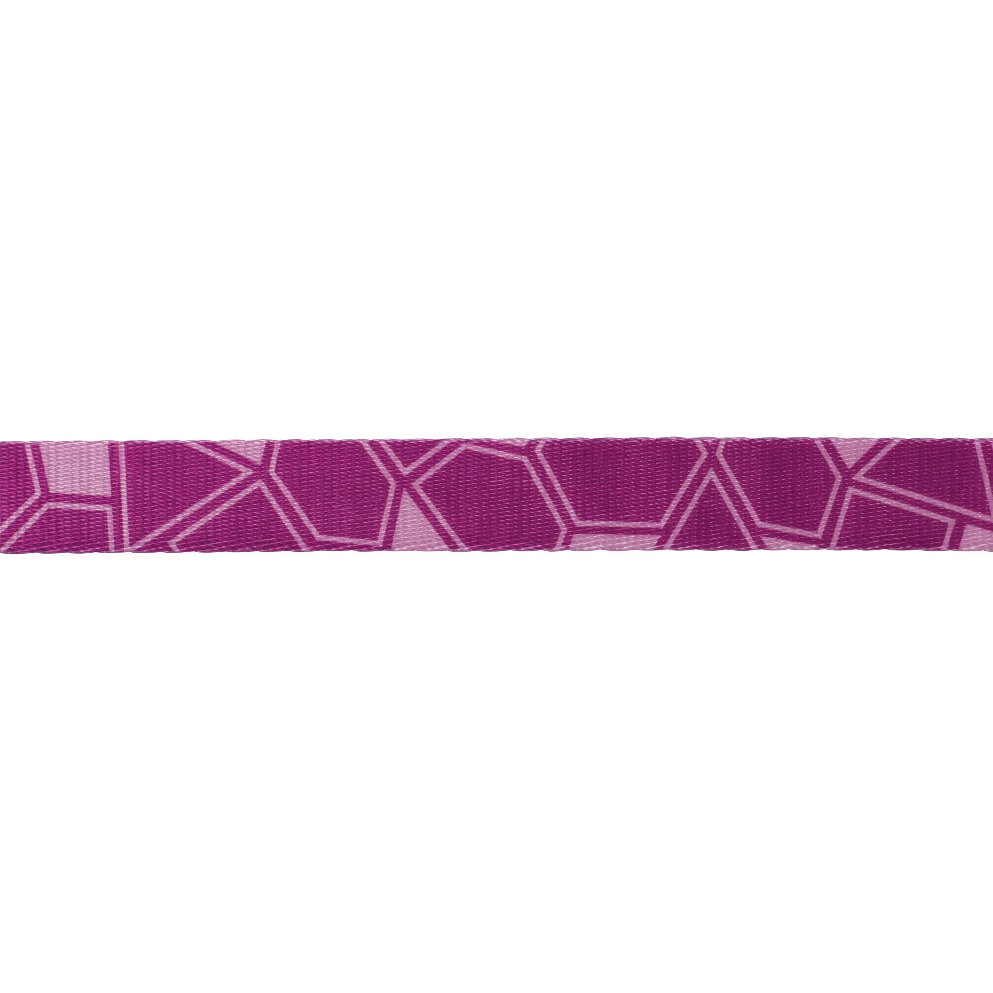 Trails End Leash