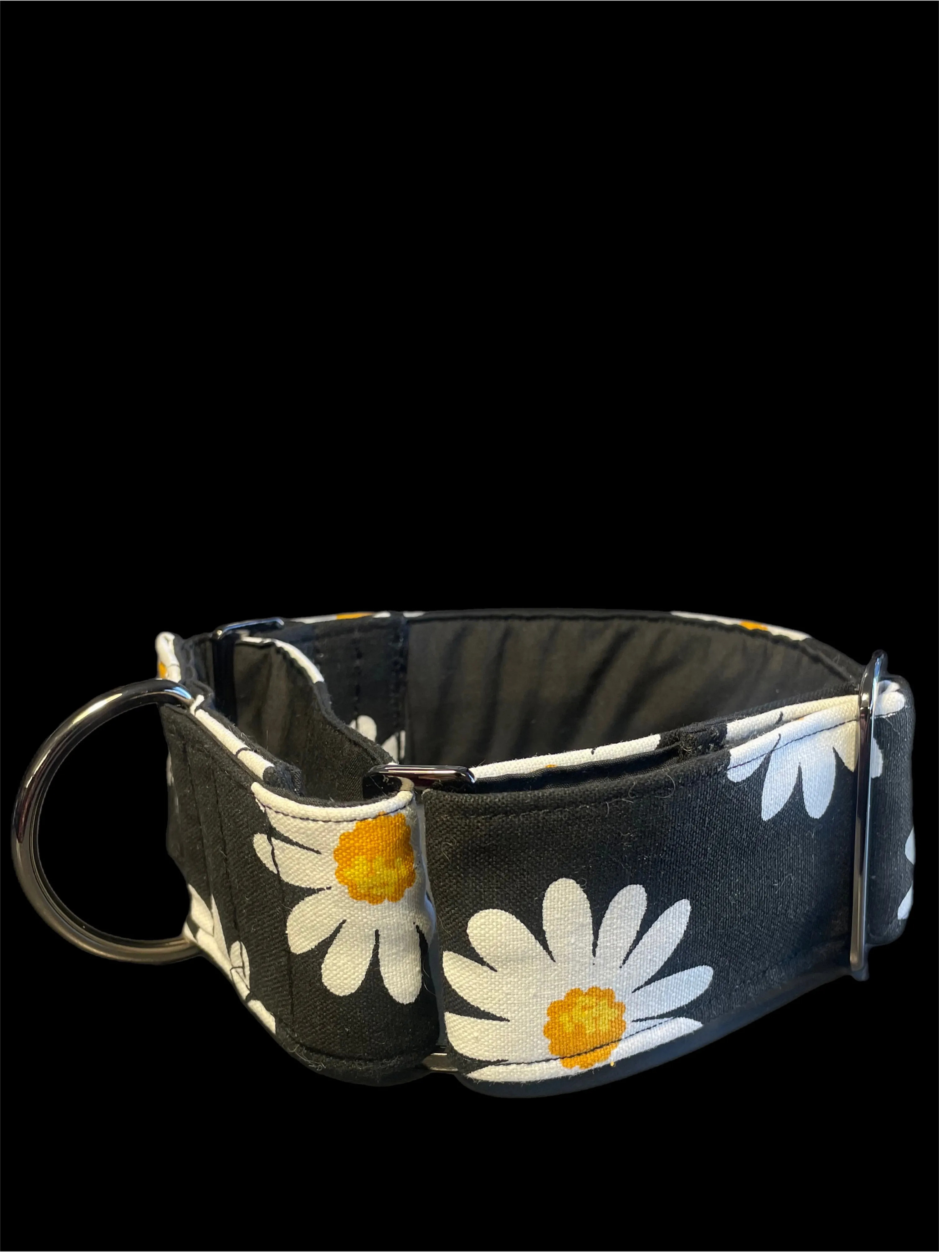 Wide Martingale collar daisies on black sturdy 50mm width